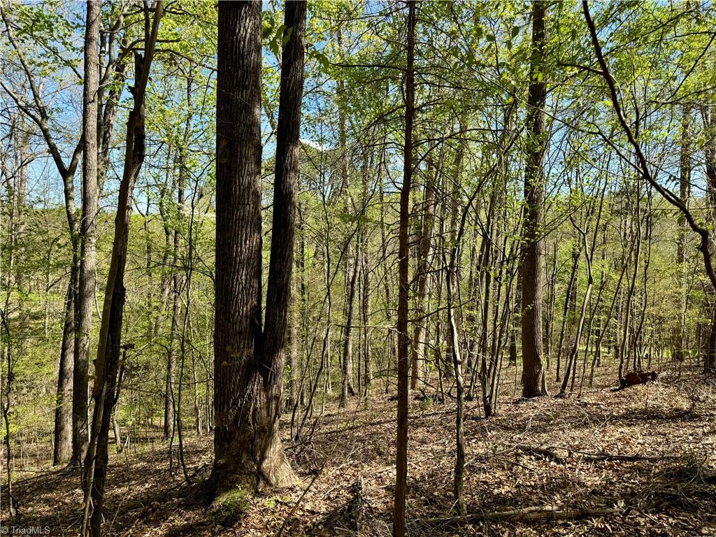 2 Thomas Farm Road, King, North Carolina image 27