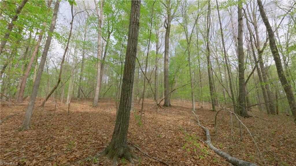 2 Thomas Farm Road, King, North Carolina image 6