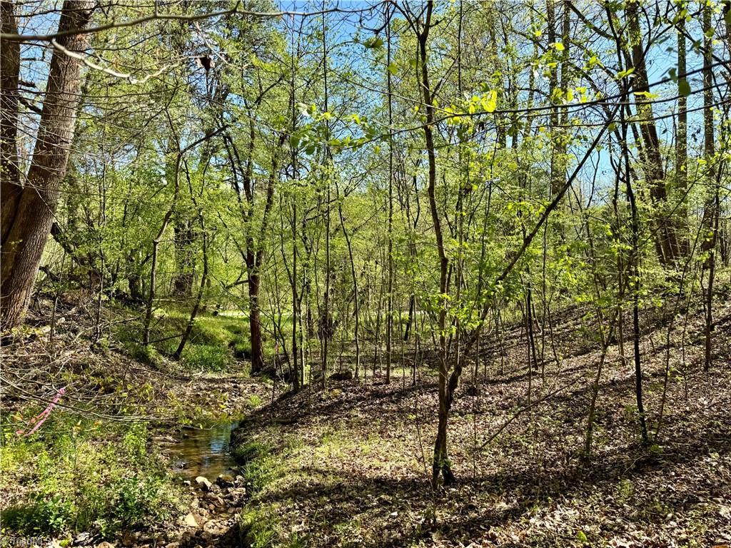 2 Thomas Farm Road, King, North Carolina image 28