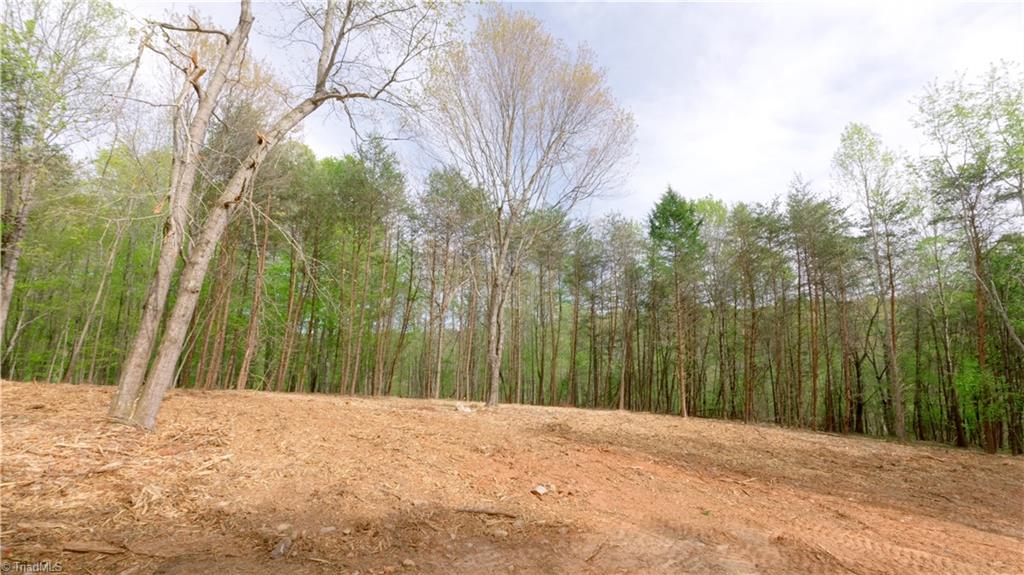 2 Thomas Farm Road, King, North Carolina image 12