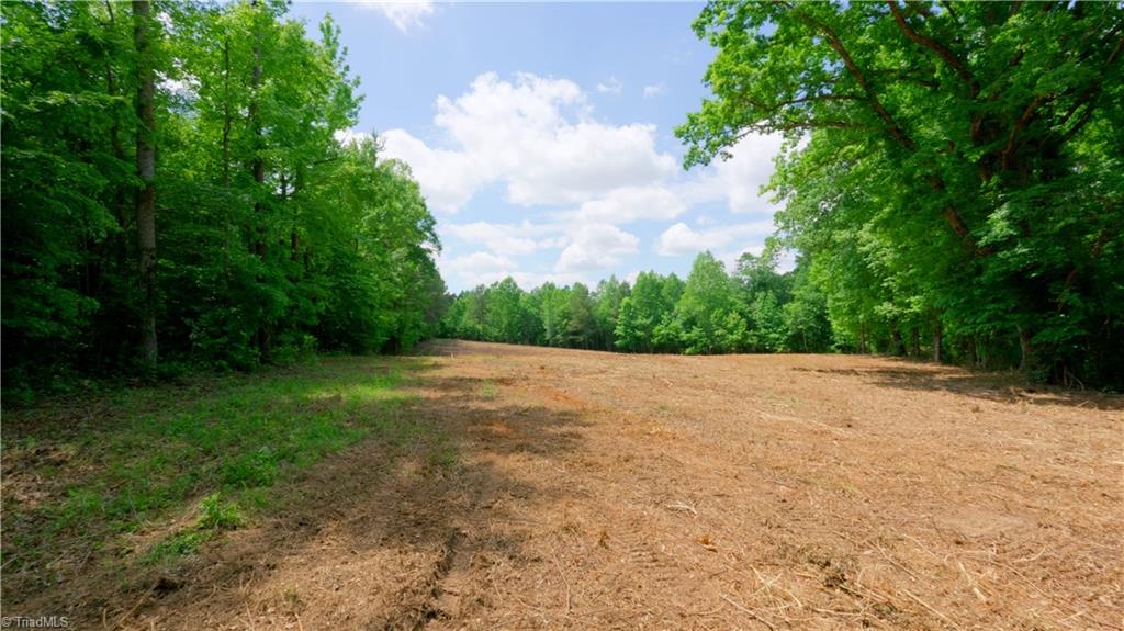 1451 Pineywood Church Road, Cameron, North Carolina image 19