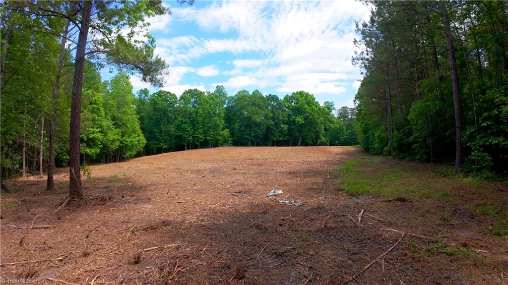 1451 Pineywood Church Road, Cameron, North Carolina image 5