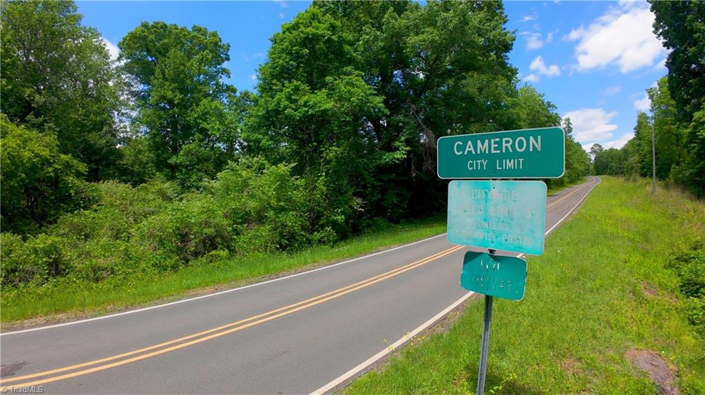 1451 Pineywood Church Road, Cameron, North Carolina image 10