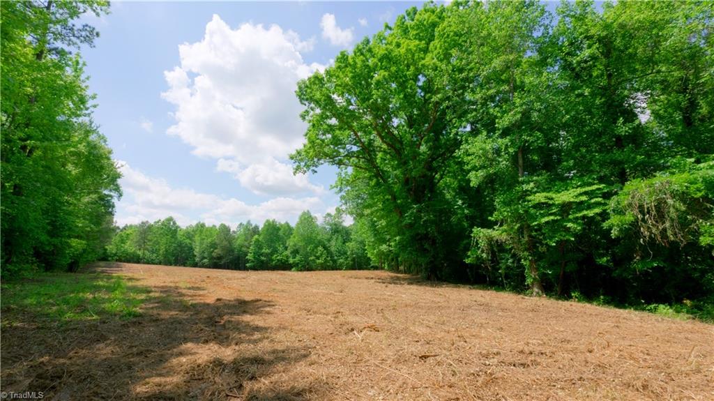 1451 Pineywood Church Road, Cameron, North Carolina image 29