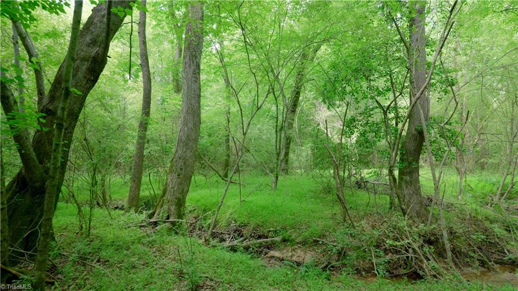 1451 Pineywood Church Road, Cameron, North Carolina image 20