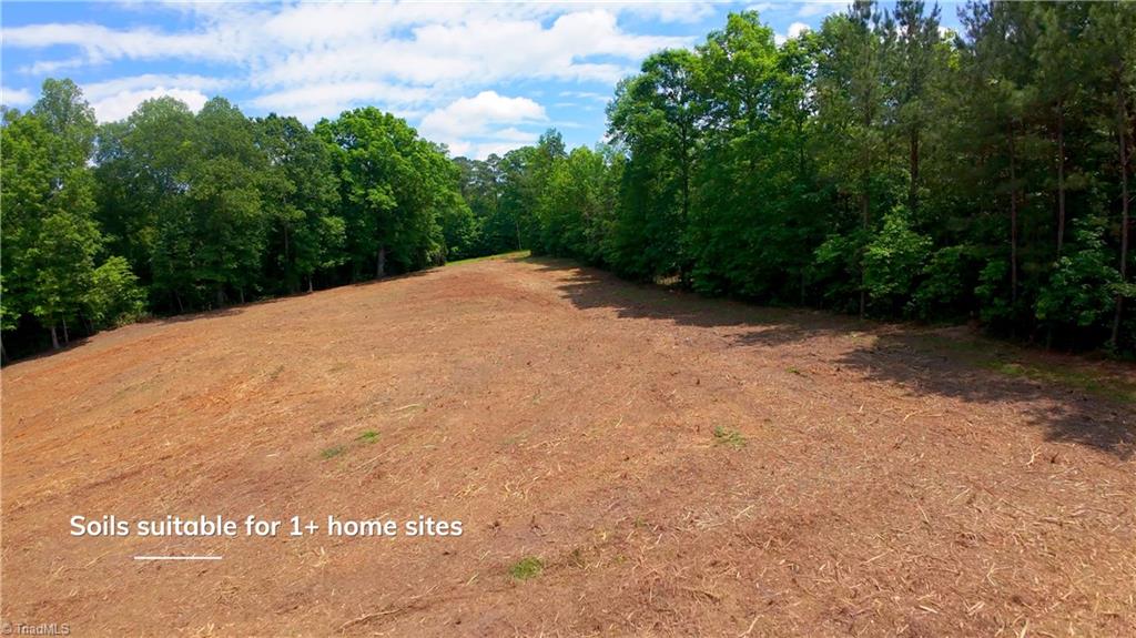 1451 Pineywood Church Road, Cameron, North Carolina image 7