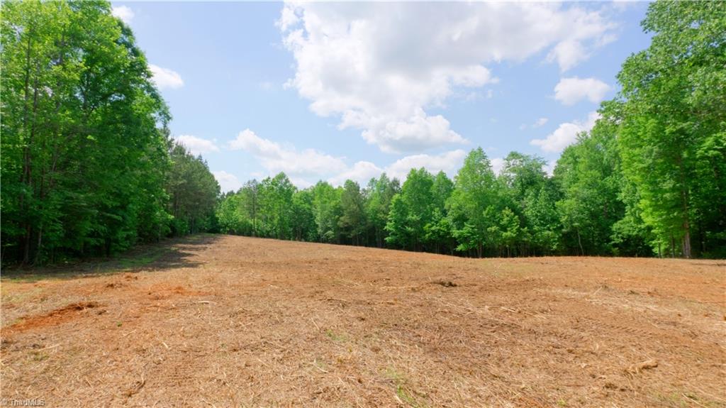 1451 Pineywood Church Road, Cameron, North Carolina image 18