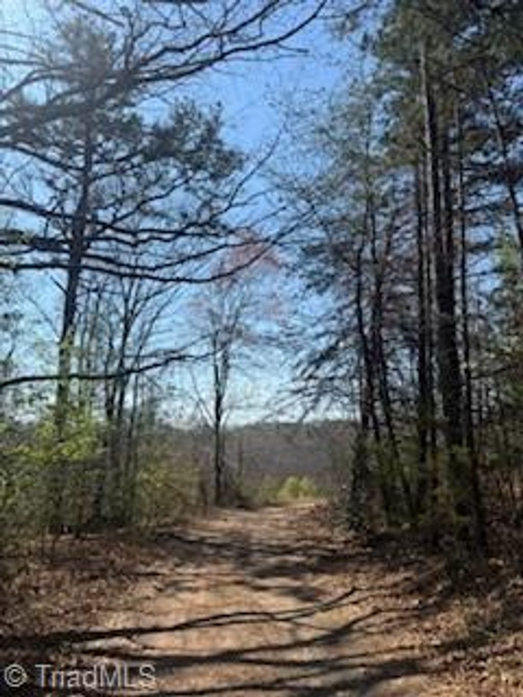 Photo of 4675 Hickory Nut Ridge Road, Granite Falls, NC 28630 (MLS # 1214022)