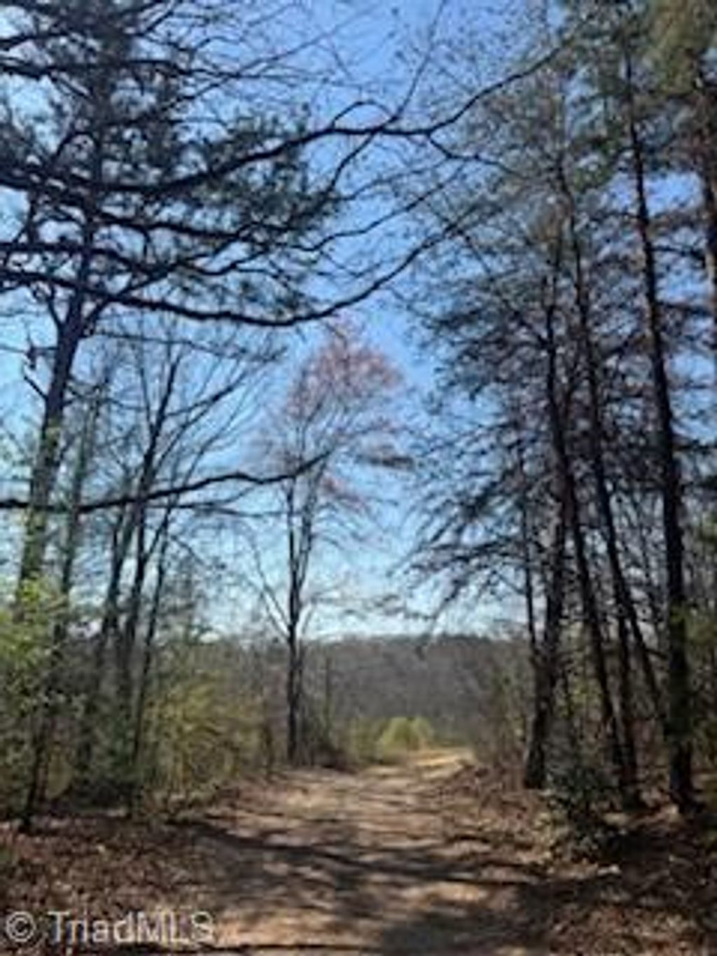 Photo of 4675 Hickory Nut Ridge Road, Granite Falls, NC 28630 (MLS # 1214022)