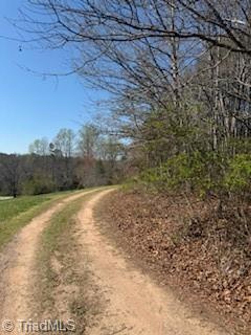 Photo of 4675 Hickory Nut Ridge Road, Granite Falls, NC 28630 (MLS # 1214022)