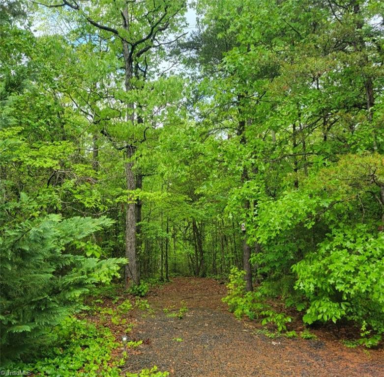 1745 Badin Lake Road, New London, North Carolina image 39