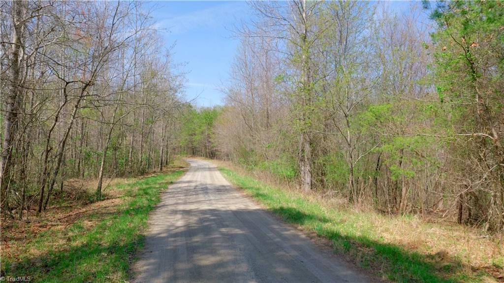335 Phillips Road, Dobson, North Carolina image 14