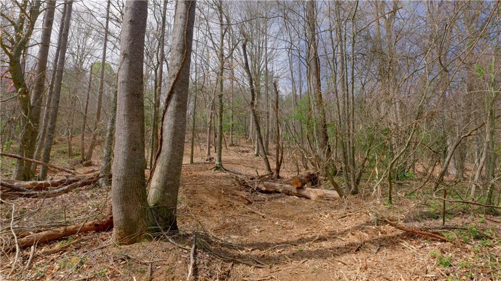 335 Phillips Road, Dobson, North Carolina image 15