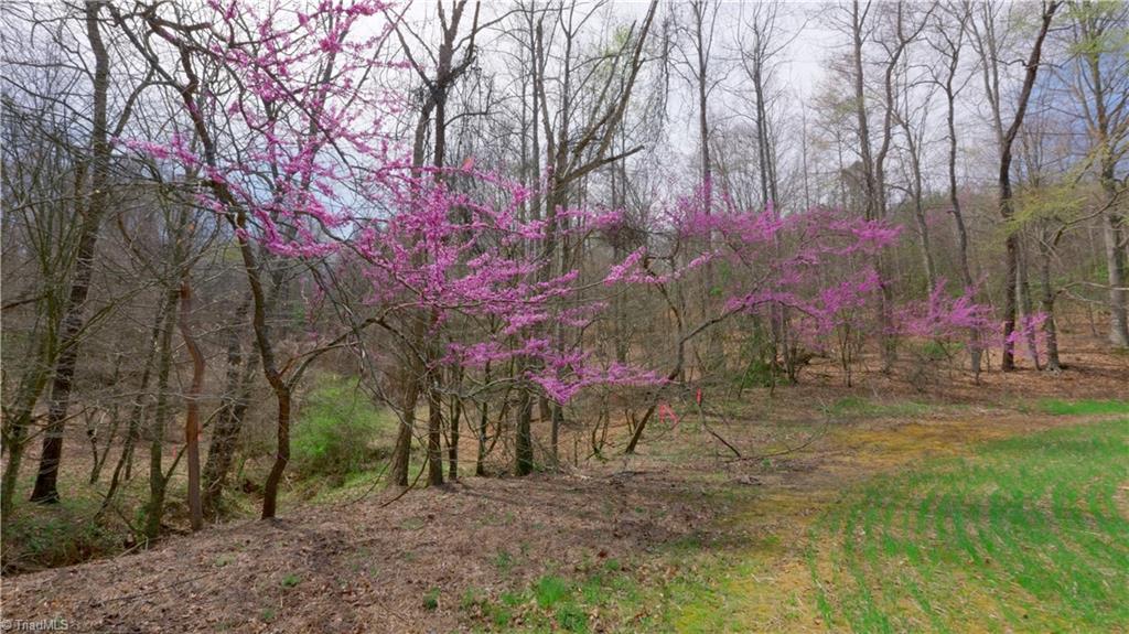 335 Phillips Road, Dobson, North Carolina image 18