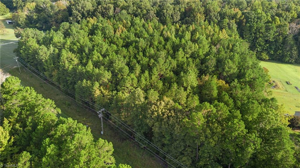 Stafford Mill Road, Liberty, North Carolina image 18