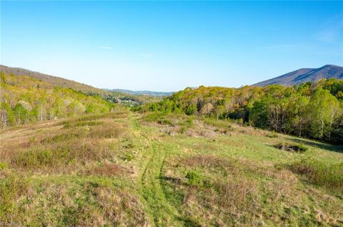 Vacant Land For Sale - TBD Ashe Park Road<br/> Ashe County, Jefferson, NC 