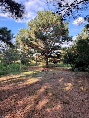 1574 MAJOR HILL RD, SNOW CAMP, NC 27349 - Image ea2d1b7fefc138f4544fb0b997b2d0e7/636848878