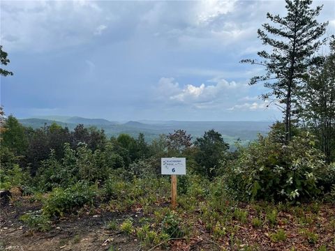 Vacant Land For Sale - TRACT 6 BLACKBERRY RIDGE Cabin Creek Road<br/> Hays, NC 28635