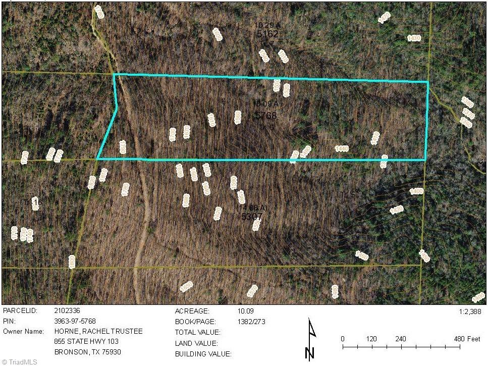 Tract 6 Blackberry Ridge Cabin Creek Road, Hays, North Carolina image 4