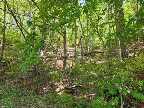 Vacant Land For Sale - TBD Price Road<br/> Moravian Falls, NC 28654