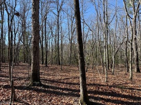 Vacant Land For Sale - Thayer Road<br/> Montgomery County, Troy, NC 27371