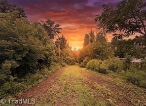Vacant Land For Sale - TBD Billings Hill Church Road<br/> Traphill, NC 28685