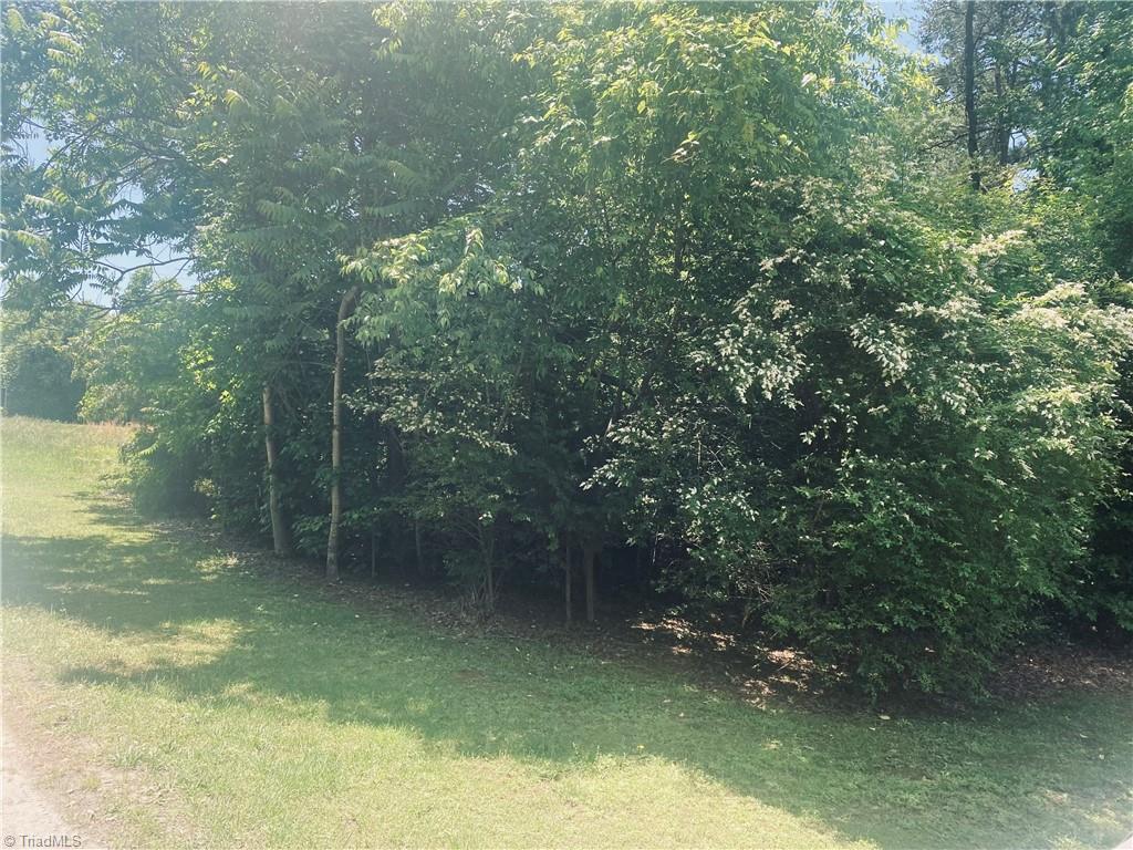 112 Whippoorwill Lane, Pelham, North Carolina image 2
