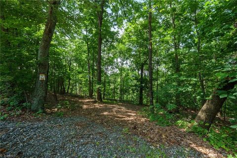 Vacant Land For Sale - 00 Hendren Road<br/> Moravian Falls, NC 28654