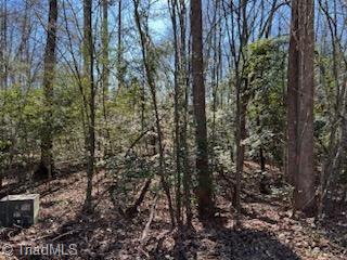 Lot 16 Stevens Drive, Jonesville, North Carolina image 4