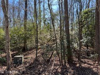 Lot 16 Stevens Drive, Jonesville, North Carolina image 2