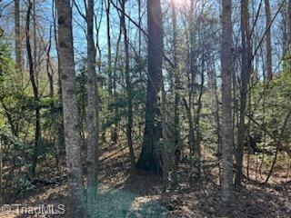 Lot 16 Stevens Drive, Jonesville, North Carolina image 5