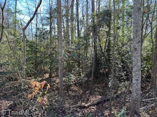 Lot 16 Stevens Drive, Jonesville, North Carolina image 3