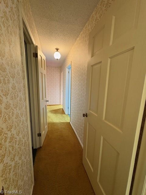 6364 Boone Trail, Millers Creek, North Carolina image 38