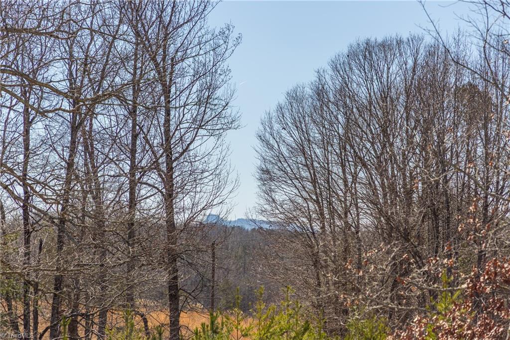 1122 Dearmin Road, Westfield, North Carolina image 43