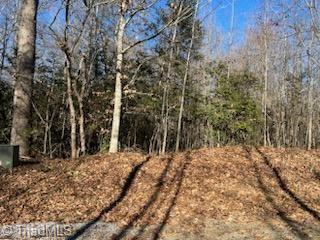 Lot 25 Woodruff Road, Jonesville, North Carolina image 1