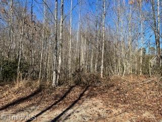 Lot 25 Woodruff Road, Jonesville, North Carolina image 4