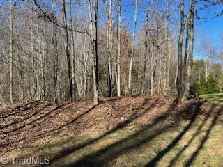 Lot 25 Woodruff Road, Jonesville, North Carolina image 5