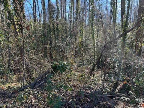 Lot 25 Woodruff Road, Jonesville, North Carolina image 6