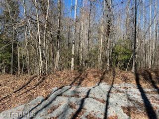 Lot 25 Woodruff Road, Jonesville, North Carolina image 2