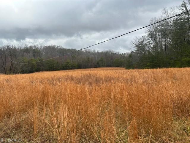 Anglin Mill Road, Stoneville, North Carolina image 1