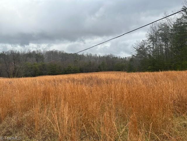 Anglin Mill Road, Stoneville, North Carolina image 6