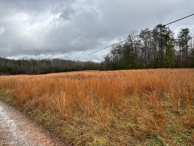 Anglin Mill Road, Stoneville, North Carolina image 3