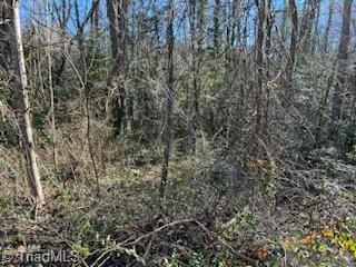 Lot 24 Woodruff Road, Jonesville, North Carolina image 5