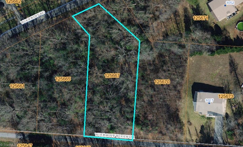 Lot 24 Woodruff Road, Jonesville, North Carolina image 9