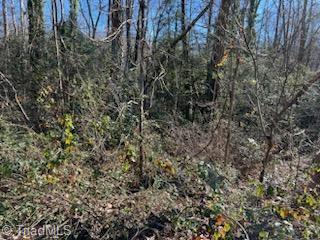 Lot 24 Woodruff Road, Jonesville, North Carolina image 6