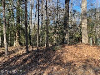 Lot 24 Woodruff Road, Jonesville, North Carolina image 2