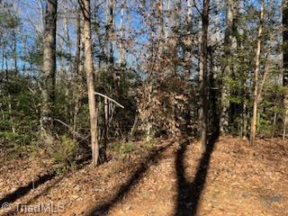 Lot 24 Woodruff Road, Jonesville, North Carolina image 3