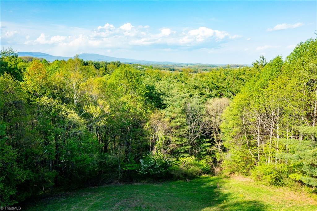958 Alta Vista Lane, Sparta, North Carolina image 32