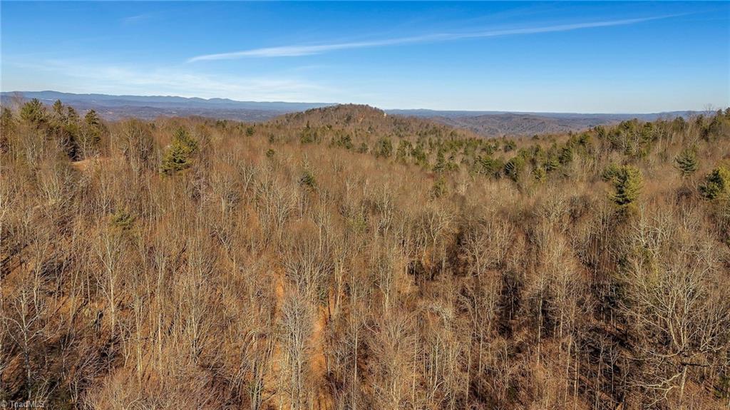 Lot 19 Longview Bluffs, Boomer, North Carolina image 4