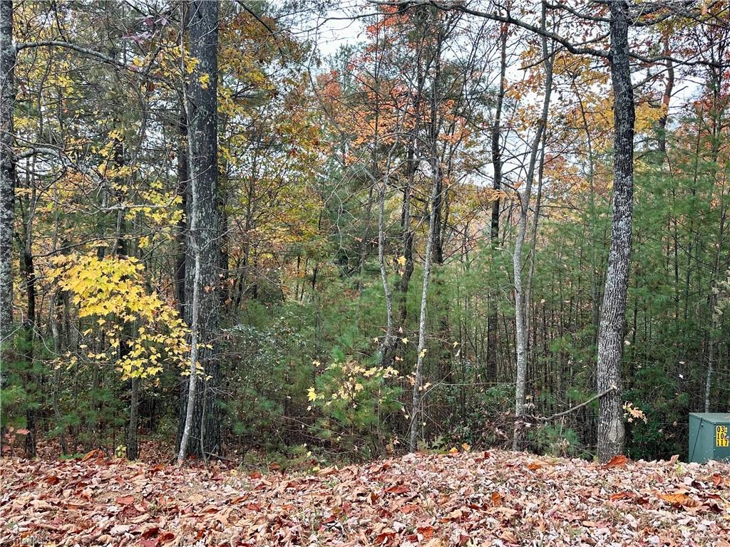 Lot 48E Cascade Run, Purlear, North Carolina image 25